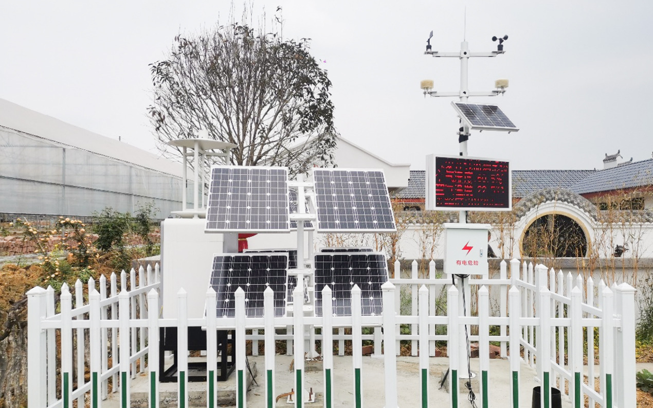 舍得酒业司专用粮基地