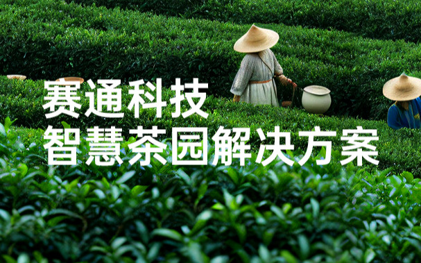 赛通科技发布智慧茶园解决方案