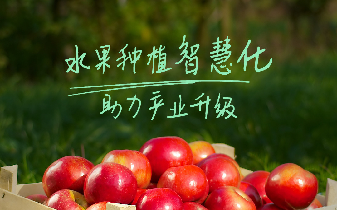 赛通科技发布智慧果园解决方案