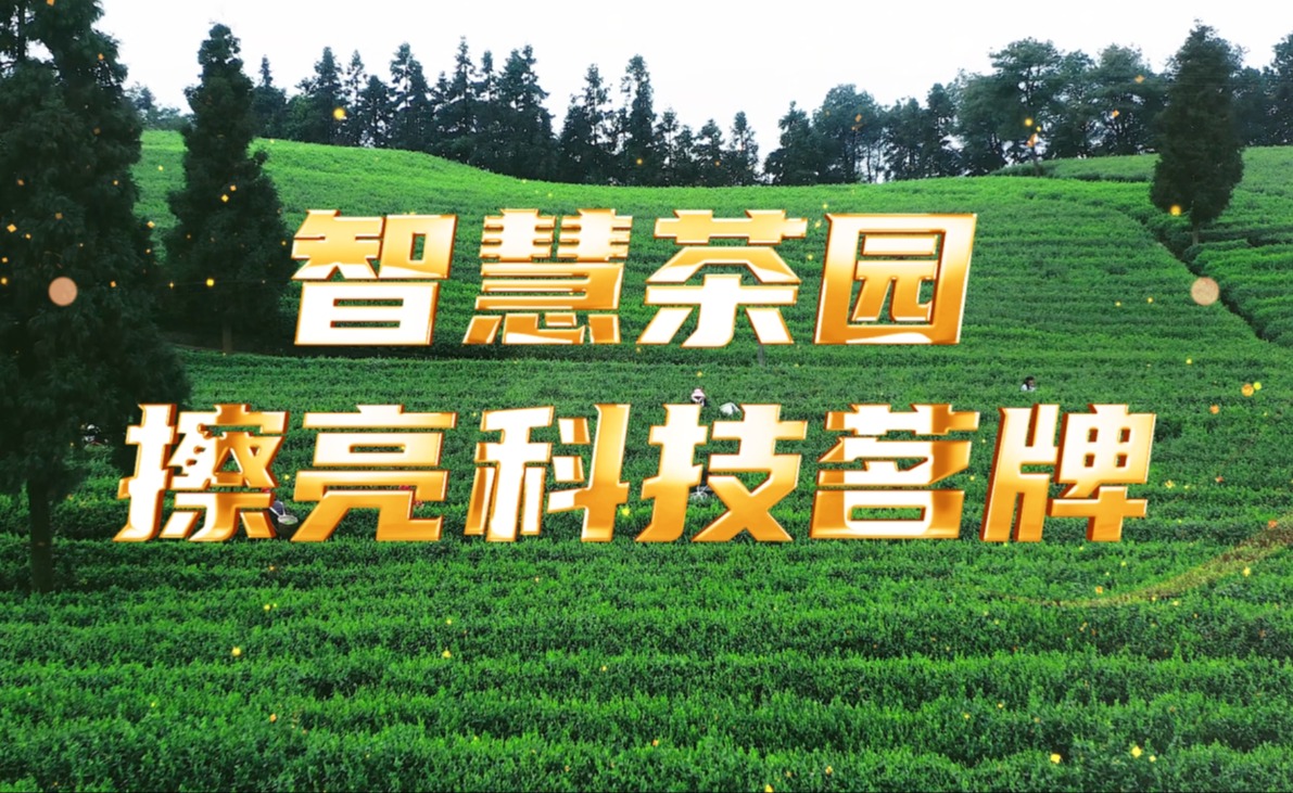 智慧茶园，擦亮科技茗牌