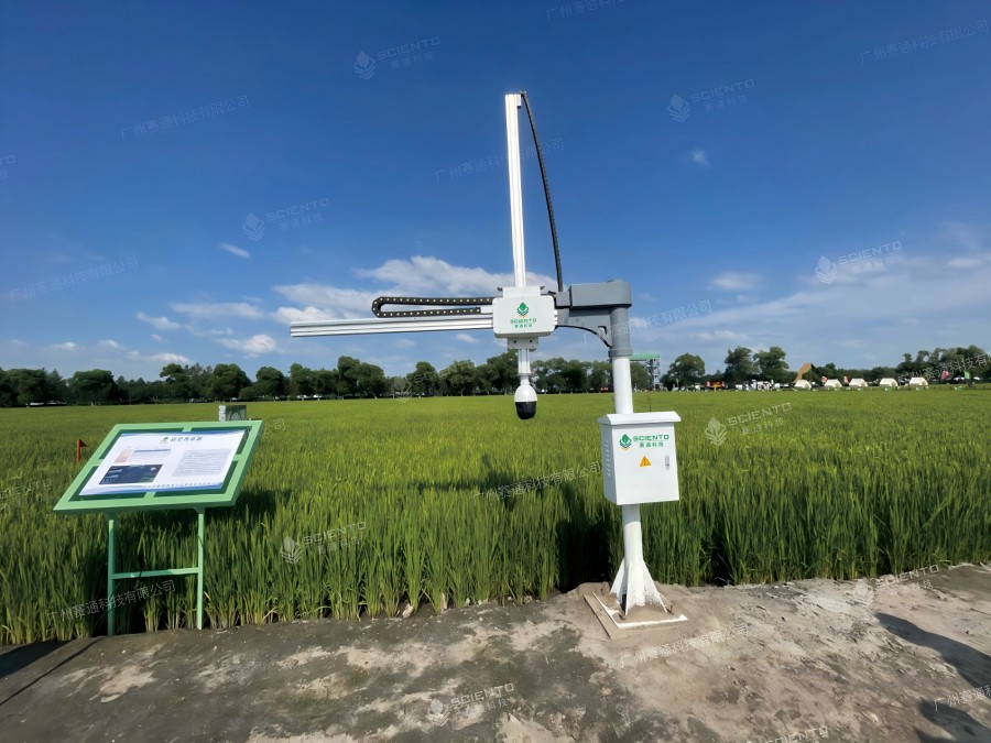 赛通科技AI叶龄诊断机械臂案例